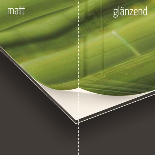 Küchenrückwand Aus Gehärtetem Glas – 100x50 Cm, Digitaldruck Schmetterling – Leicht Zu Reinigen, Inkl. Kleber & Montageanleitung