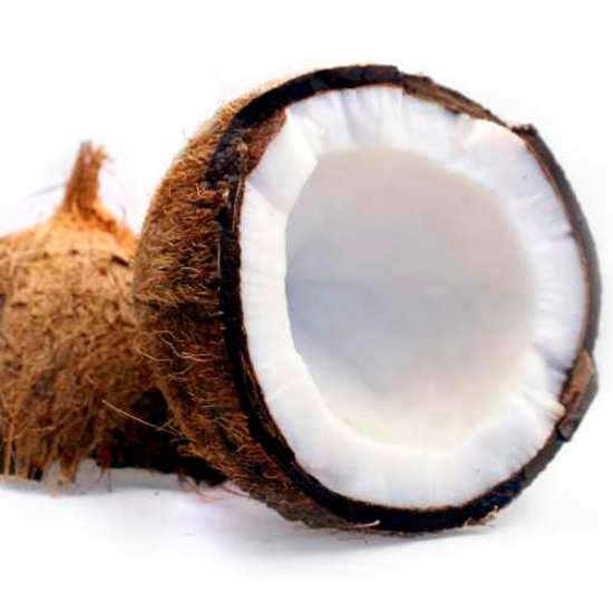 Küchenrückwand Kokosnuss